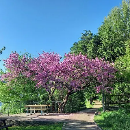 公寓 Meridian House 2