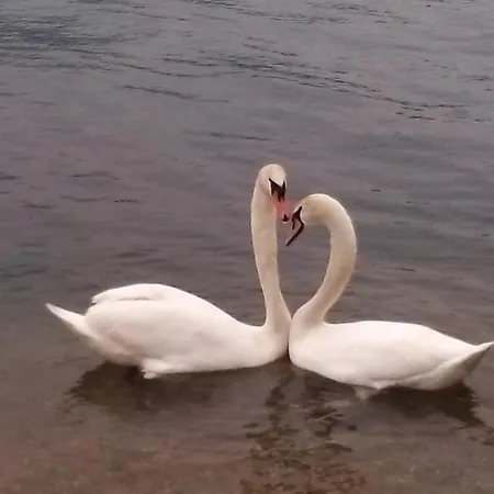 Meridian House 2 莱科