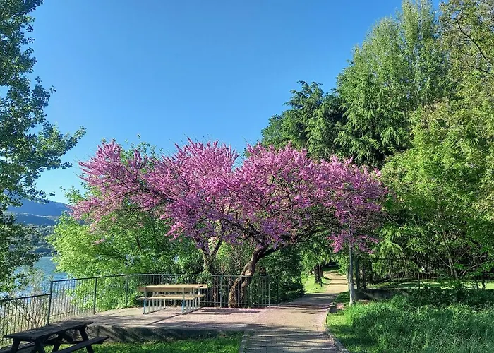 Apartamento Meridian House 2