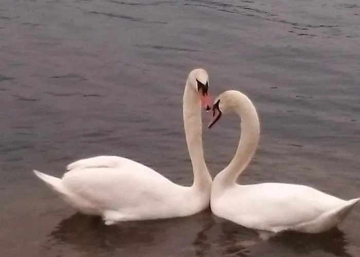 Meridian House 2 Lecco